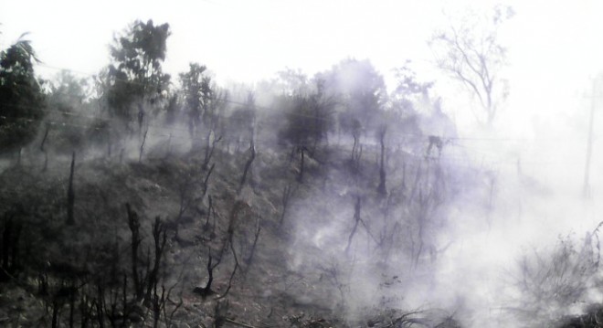 Kebakaran lahan di Sarolangun